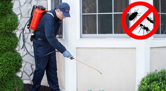 Kepsut Böcek İlaçlama böcek ilaçlama ve haşere kontrolü — ilaclama-tr.com